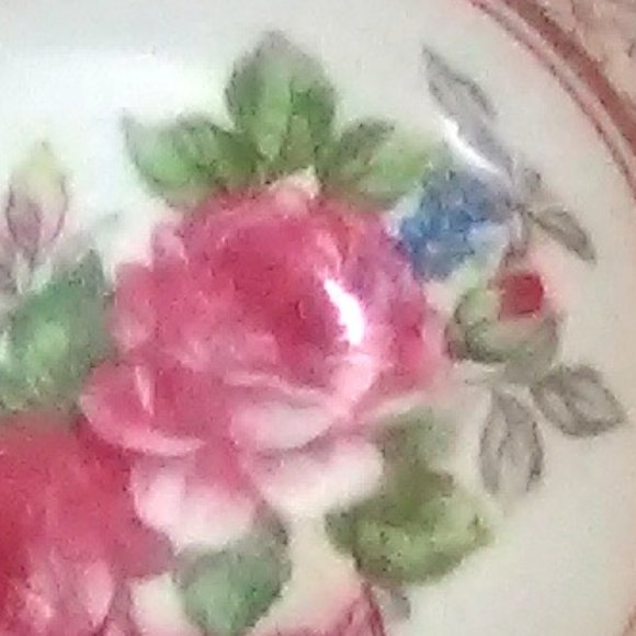 Rose Cup & Saucer - Picture 2 of 6